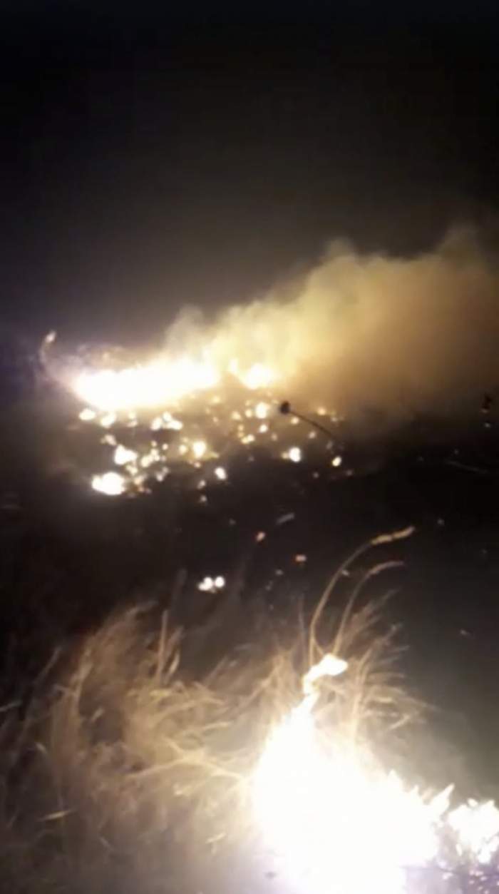 Incendii devastatoare de vegetație în două comune din Dolj. Focul s-a întins până în apropierea caselor