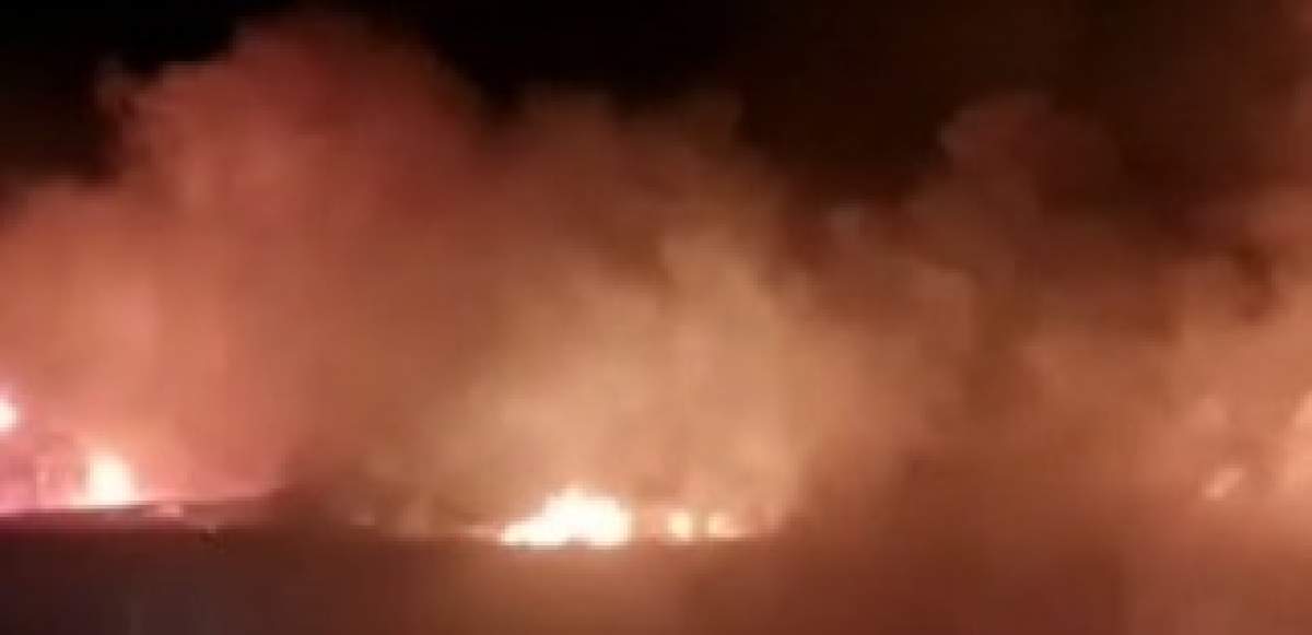 Incendiu de proporții la o fabrică de mezeluri din Mizil! Mai multe persoane au fost transportate la spital