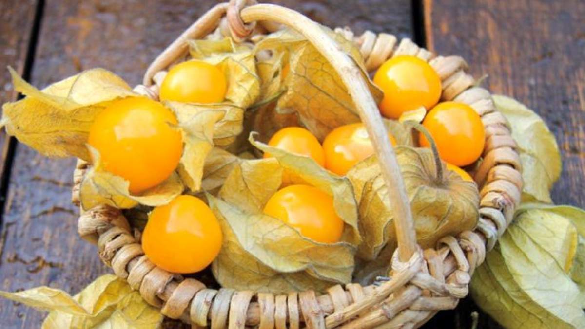 Physalis, un fruct cu multe beneficii. De ce merită să îl încerci