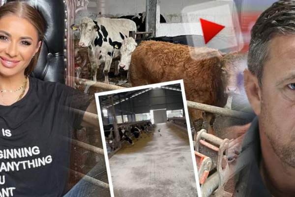 Ce lovitură îi dă Anamaria Prodan lui Laurențiu Reghecampf. Cum îl joacă pe degete sexy impresara pe încă soțul ei / VIDEO EXCLUSIV