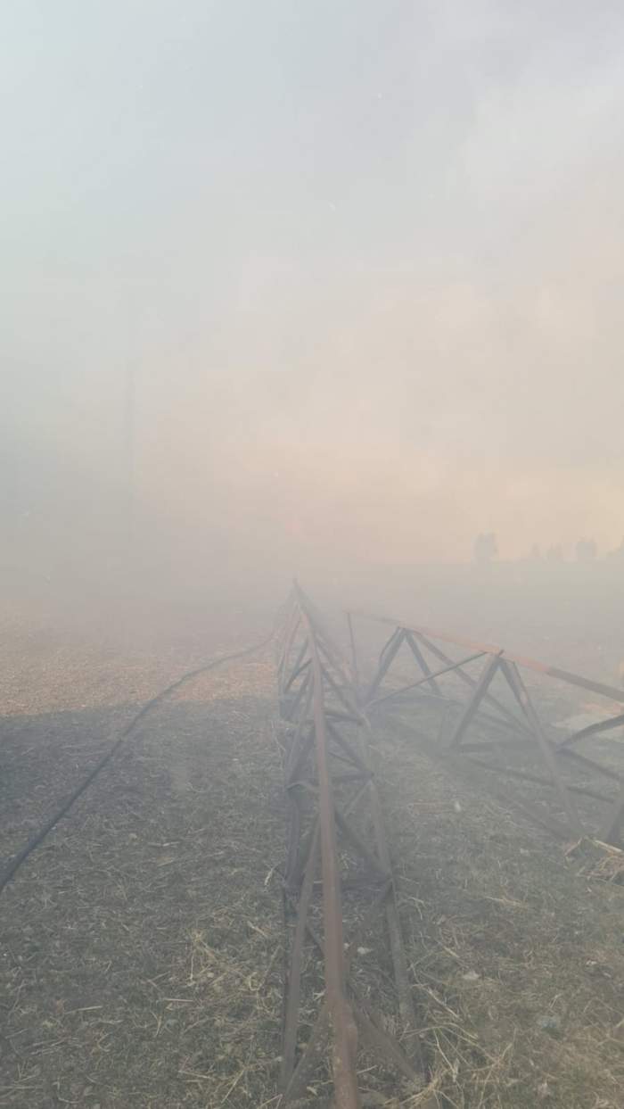 Incendiu puternic la un adăpost de animale din judeţul Botoşani. Pompierii au intervenit de urgență
