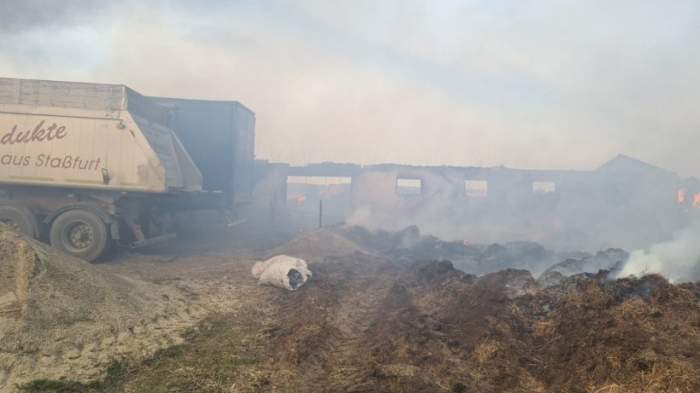 Incendiu puternic la un adăpost de animale din judeţul Botoşani. Pompierii au intervenit de urgență
