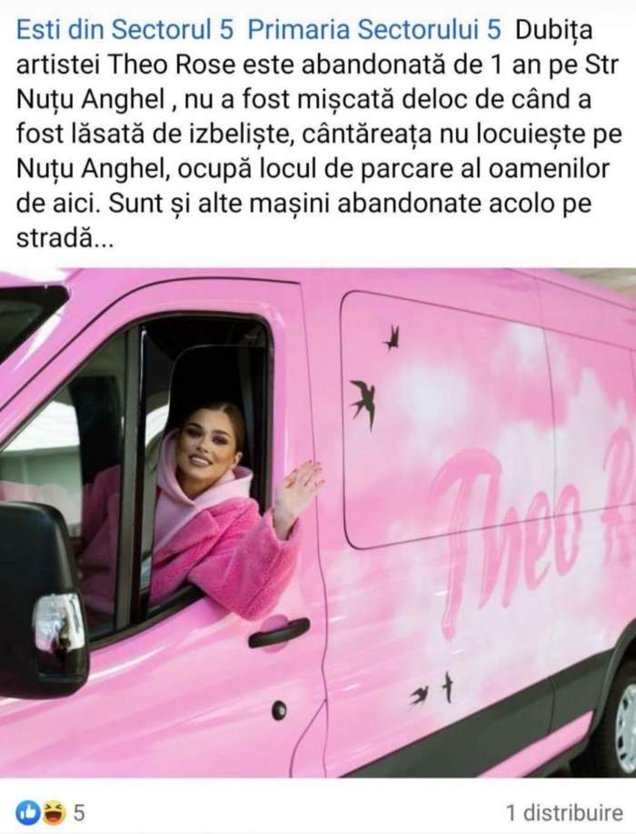 "Mie nu-mi place această tensiune". Theo Rose, taxată de fani pe Internet. Artista, reacție neașteptată / FOTO