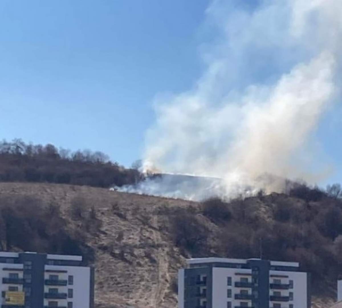 Incendiu violent de vegetație în Cluj! Bărbatul care l-a provocat a încercat să îl stingă cu o bluză / FOTO