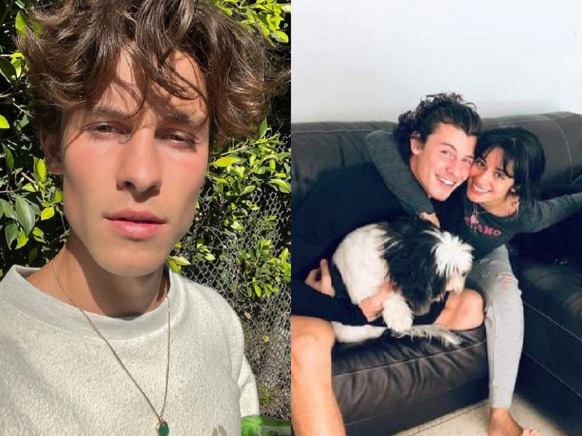 Shawn Mendes și Camila Cabello, colaj