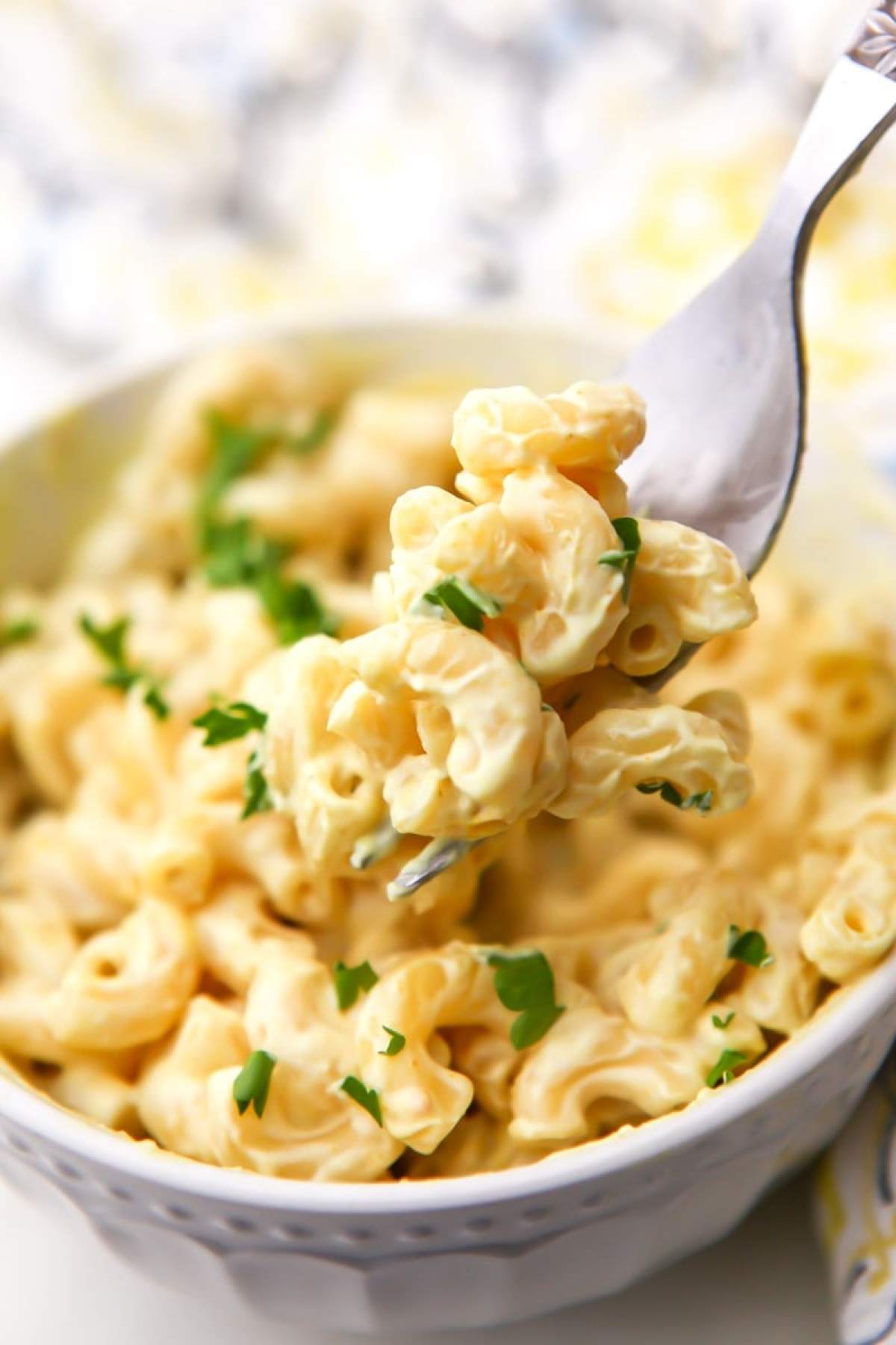 Mac and Cheese Mac and cheese. Rețeta unui preparat tradițional american, pe care puțini știu să îl gătească corect