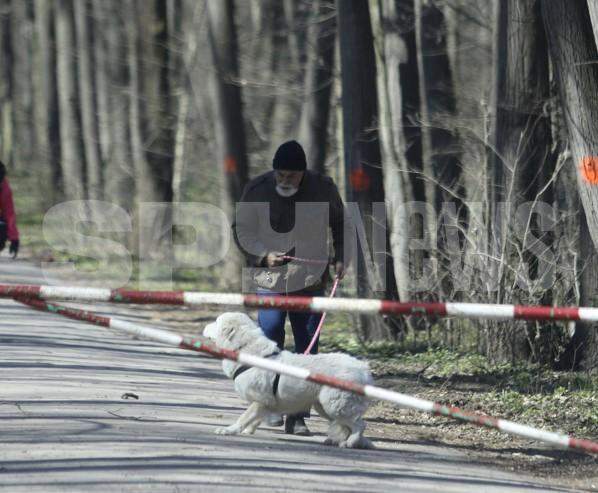 Numai câinele lui Varujan Vosganian să nu fii! Ce pedeapsă i-a aplicat politicianul patrupedului său / PAPARAZZI