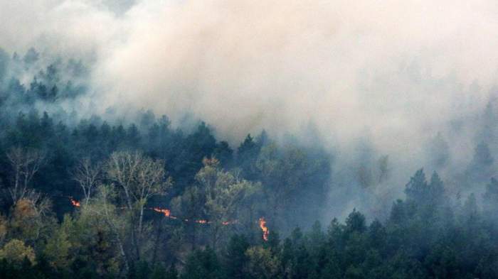 Incendii devastatoare în pădurile din apropierea Cernobîl. Se anunță un adevărat pericol