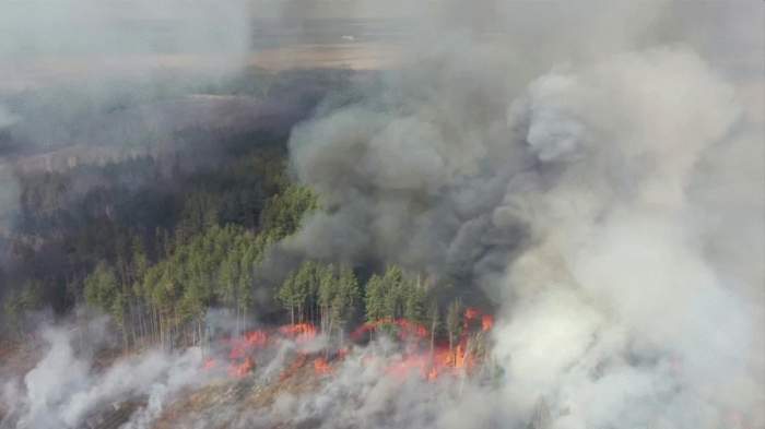 Incendii devastatoare în pădurile din apropierea Cernobîl. Se anunță un adevărat pericol