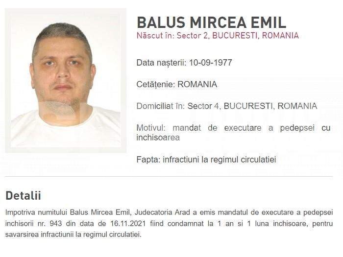 Urmăritul internațional Mircea Nebunu s-a bătut ca în filme în Italia, cu mai mulți interlopi români / Scandalul este abia la început
