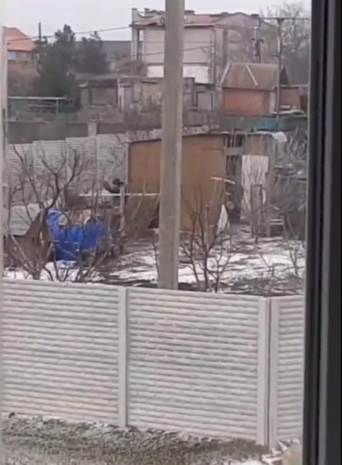 Soldații ruși au fost filmați cum fură găinile ucrainenilor. Au intrat în curte și le-au băgat într-un sac / FOTO