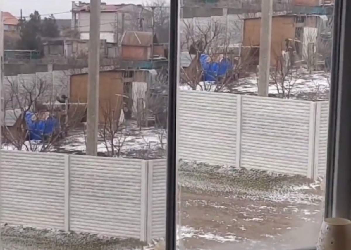 Soldații ruși au fost filmați cum fură găinile ucrainenilor. Au intrat în curte și le-au băgat într-un sac / FOTO