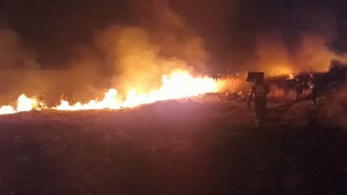 Incendii devastatoare de vegetație în Iași și Vaslui. Peste 40 de pompieri au fost trimiși la fața locului