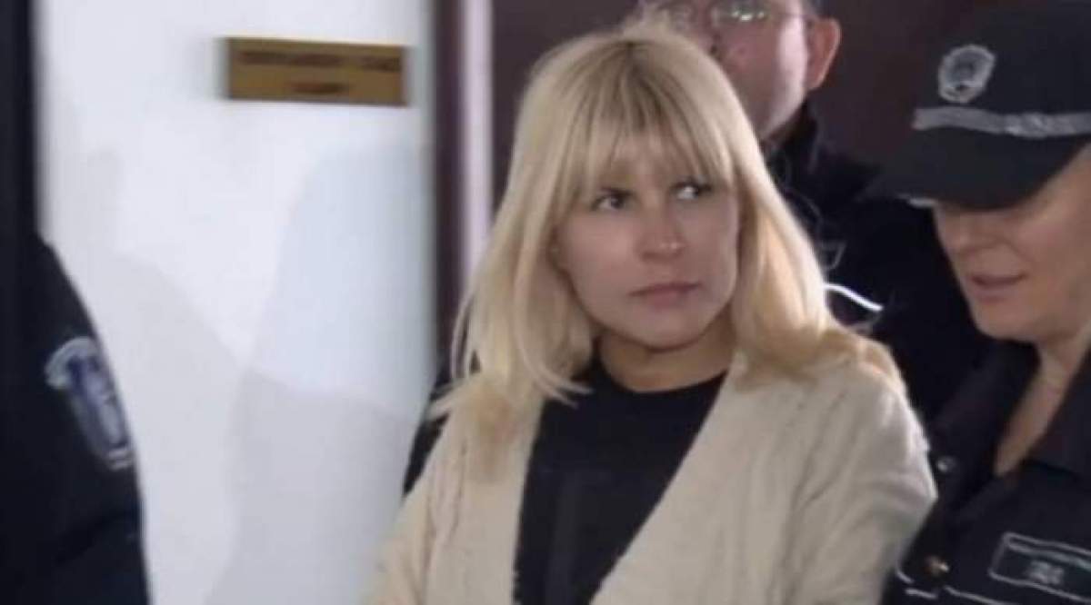 Elena Udrea, la tribunal