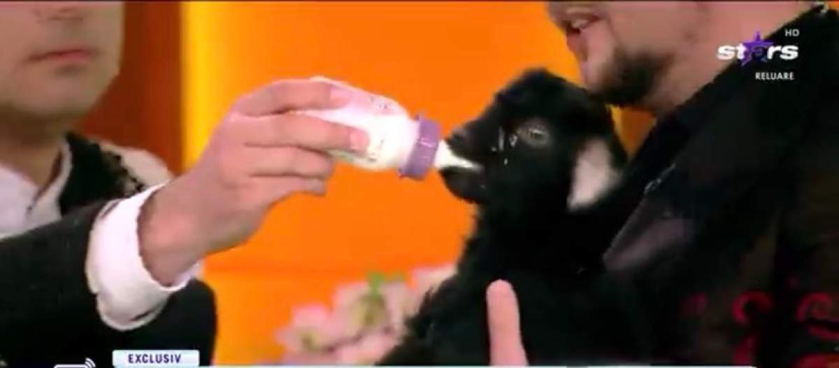 Un invitat special în platoul emisiunii, chiar de Paște. Ce a mărturisit Mirela Vaida Un invitat special în platoul emisiunii, chiar de Paște. Ce a mărturisit Mirela Vaida