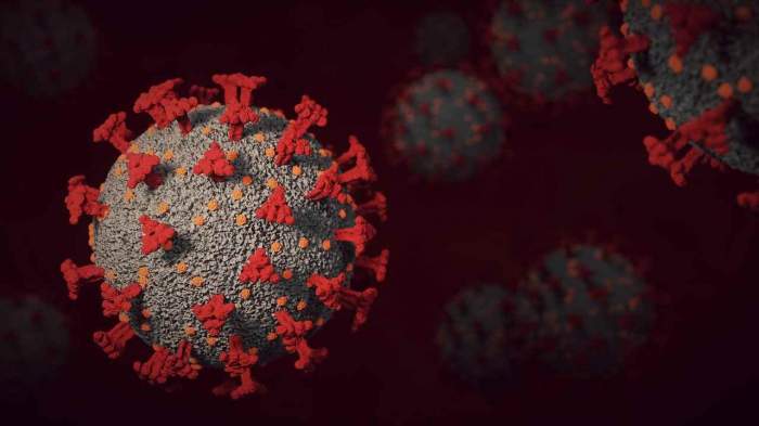 Prin ce se diferențiază varianta Omicron XE de coronavirus. Noua variantă COVID-19 a fost descoperită în Anglia