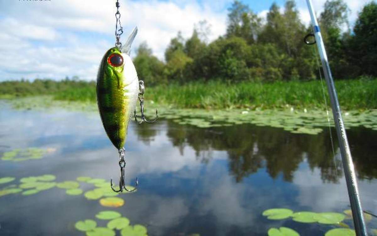 S-a interzis pescuitul în Delta Dunării! Documentul oficial intră în vigoare de astăzi