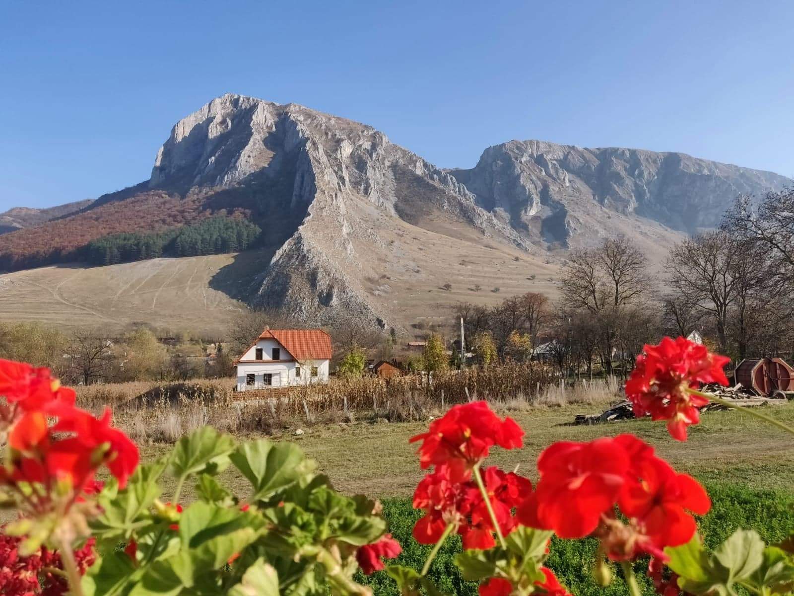 Satul din România care arată ca în Elveția. Nu ai auzit de el, dar străinii se bat să-l viziteze