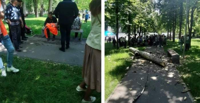 O fetiță de doi ani din Chișinău a murit, după ce peste ea a căzut o buturugă, în parc. Copilul se afla în cărucior / FOTO