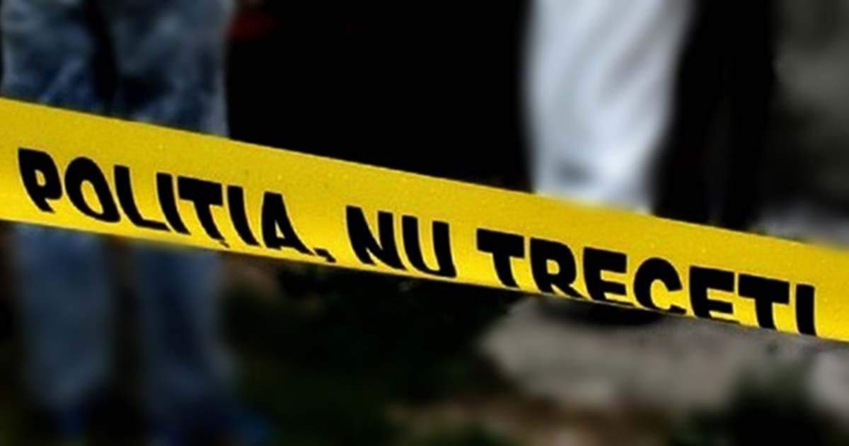 Tragedie fără margini în Sibiu! Un bărbat în vârstă de 50 de ani a murit, după ce a fost strivit de un copac