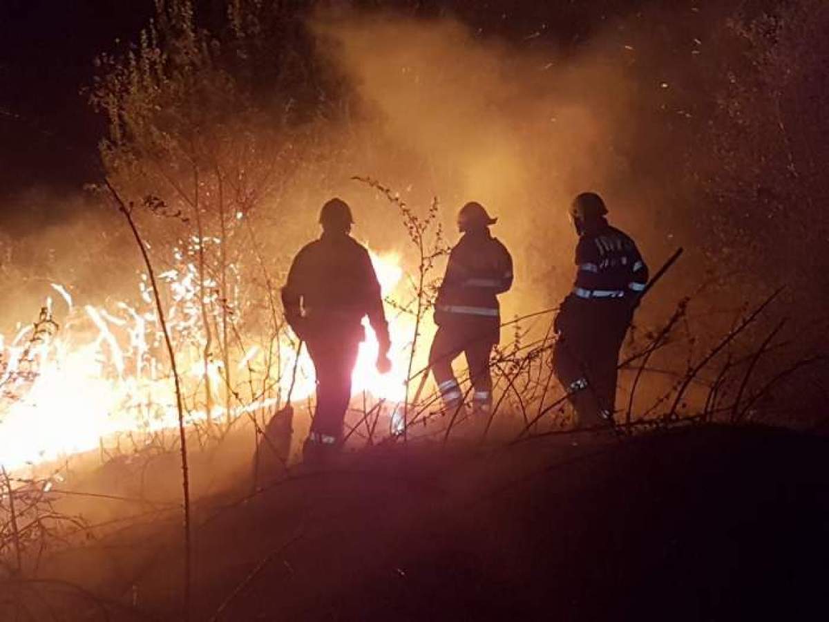 pompieri intervenind la un incendiu de vegetație