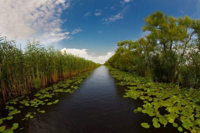 Delta Dunarii Romania