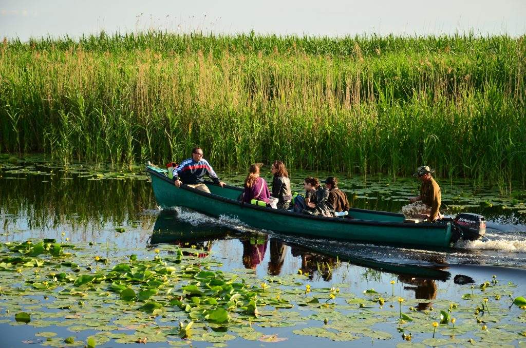 Cât costă o vacanță în Delta Dunării. Prețul unui sejur pentru două persoane