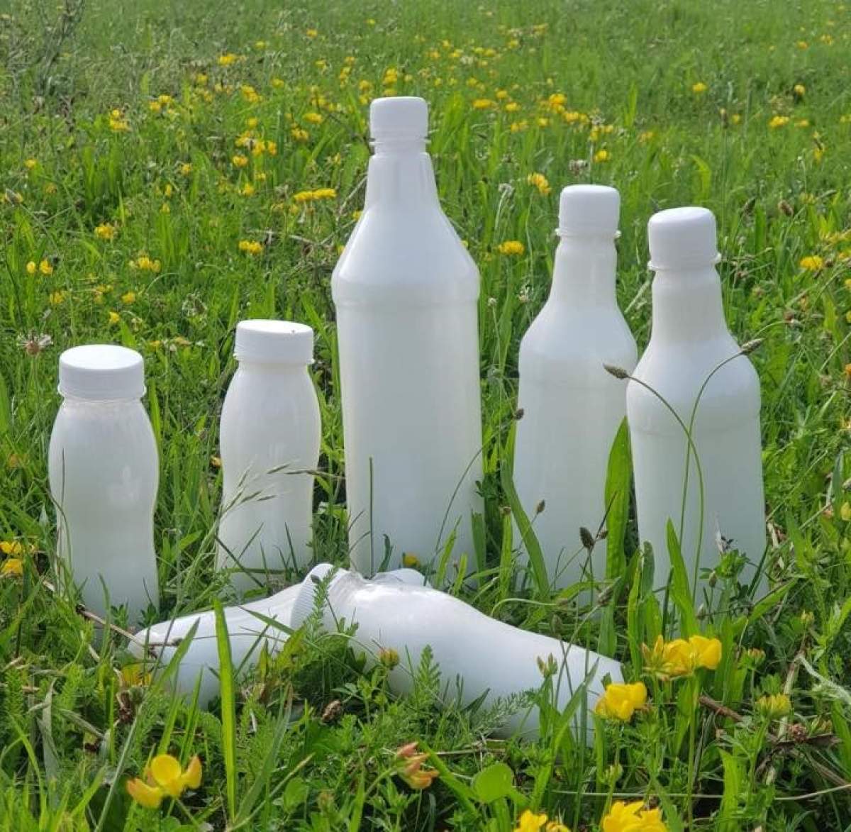 Afacerea momentului, cu care un român a dat lovitura. Ce vinde cu 100 de lei litru Afacerea momentului, cu care un român a dat lovitura. Ce vinde cu 100 de lei litru