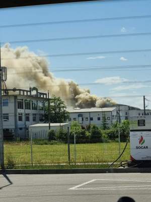 Incendiu devastator în Timișoara. O hală de 400 mp a luat foc / FOTO