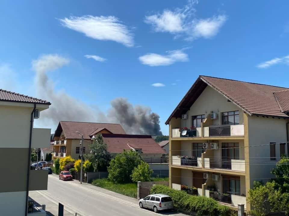 Incendiu devastator în Timișoara. O hală de 400 mp a luat foc / FOTO