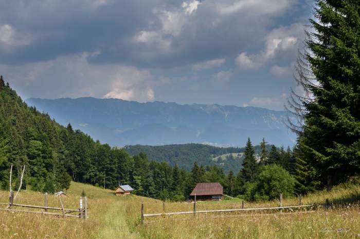Stațiunea din România unde găsești "Raiul dintre munți". Aici găsești poiana unde atingi cerul