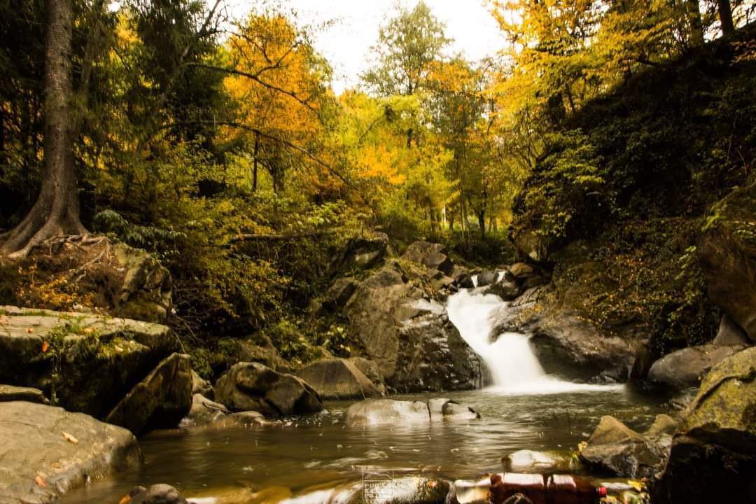 Stațiunea montană din România unde te vindeci de boli cardiovasculare! Locul cu 1.000 de izvoare are ape tămăduitoare / FOTO