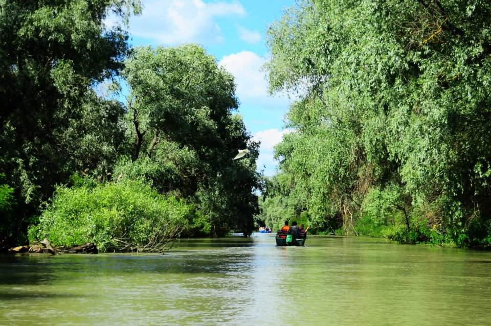 Drumul secret de piatră care trece prin Delta Dunării până la Marea Neagră! Doar bătrânii locului știu unde este / FOTO 