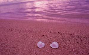 Cele mai frumoase plaje roz din lume. Sunt adevărate minuni ale naturii și destinații spectaculoase / FOTO