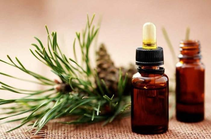 Ce beneficii are uleiul de cuișoare. Se folosește adesea în aromaterapie