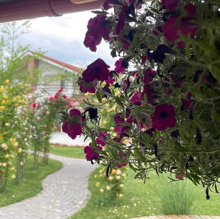Imagini nemaivăzute cu locuința Mirelei Vaida. Cum și-a amenajat curtea prezentatoarea de la Acces Direct / FOTO