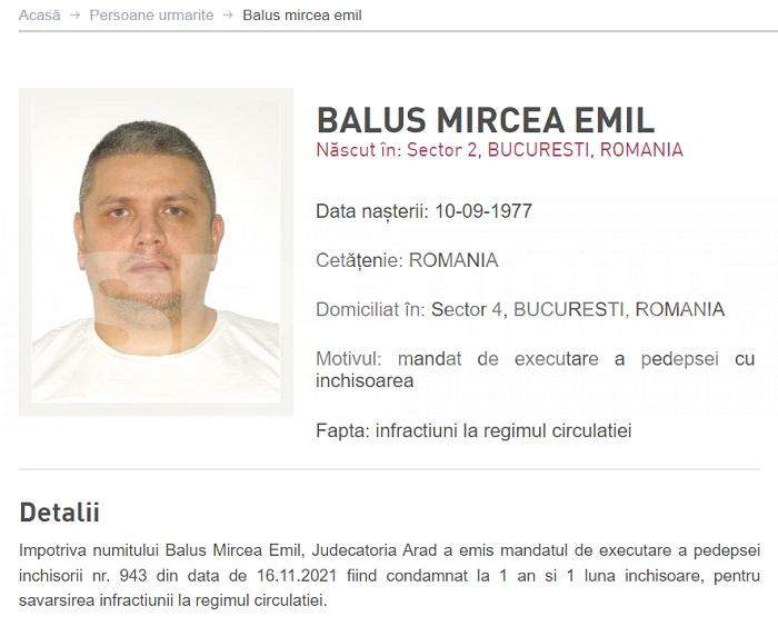 VIDEO / Florin Salam, chef de chef cu interlopii dați în urmărire generală / Poliția veghează, mafia petrece