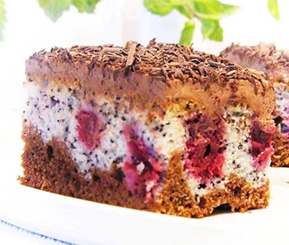 Rețetă de prăjitură cu mac și vișine. Un desert special pentru zilele de weekend Rețetă de prăjitură cu mac și vișine. Un desert special pentru zilele de weekend