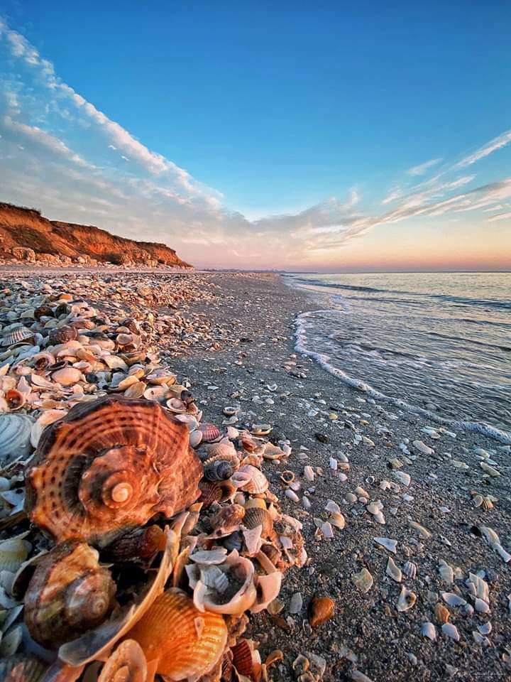 Plaja sălbatică din România, inclusă în topul celor mai frumoase din lume! Ai știut de ea? Trebuie neapărat să o vezi / FOTO