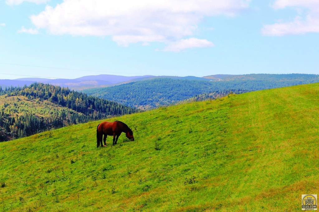 Satul din România aflat la cea mai mare altitudine. Ai știut de el? Ce găsești când ajungi aici. Imaginile sunt de vis / FOTO