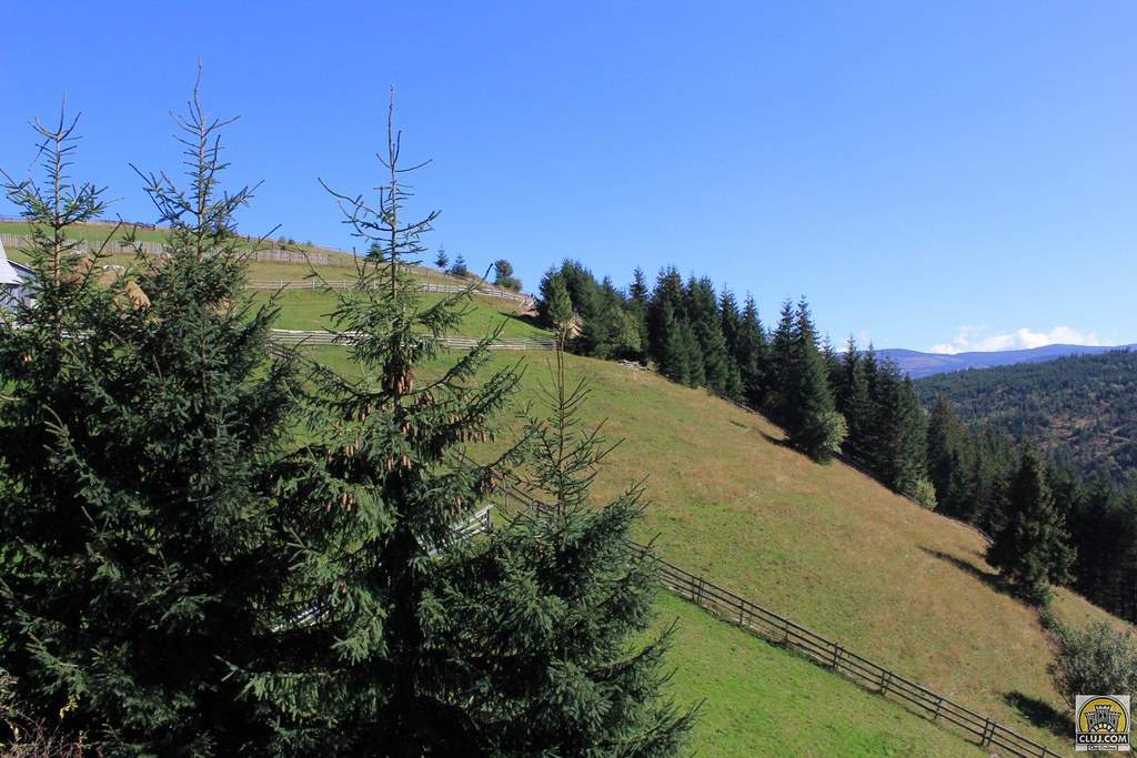 Satul din România aflat la cea mai mare altitudine. Ai știut de el? Ce găsești când ajungi aici. Imaginile sunt de vis / FOTO