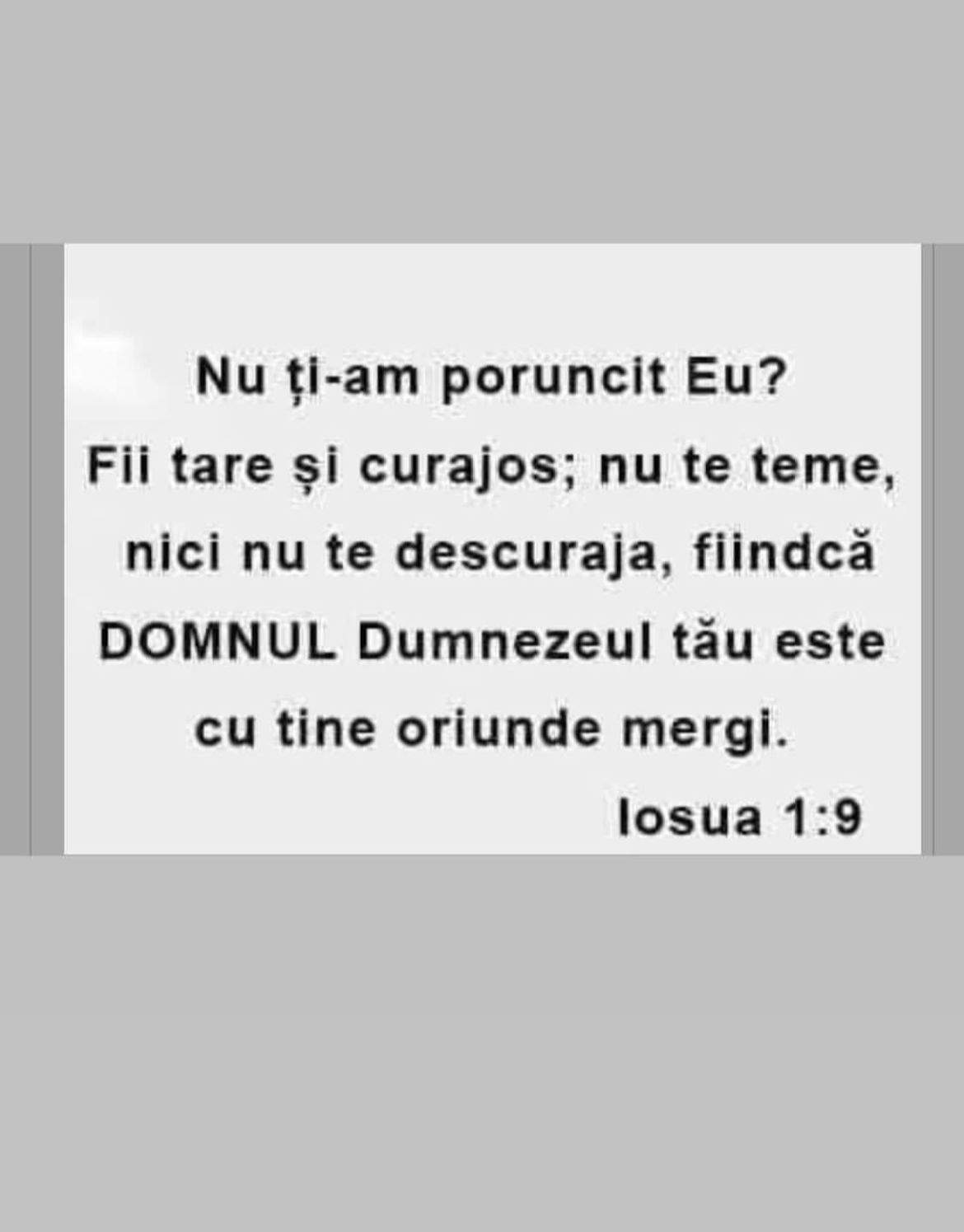 Florin Pastramă îi răspunde lui Brigitte, după ce l-a numit "șarpe": "Nu te teme, nici nu te descuraja..." / FOTO