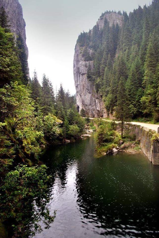 Locul din România unde găsești „Marea din Bucegi”.  Adela Popescu a rămas impresionată când a văzut imaginile de vis / FOTO