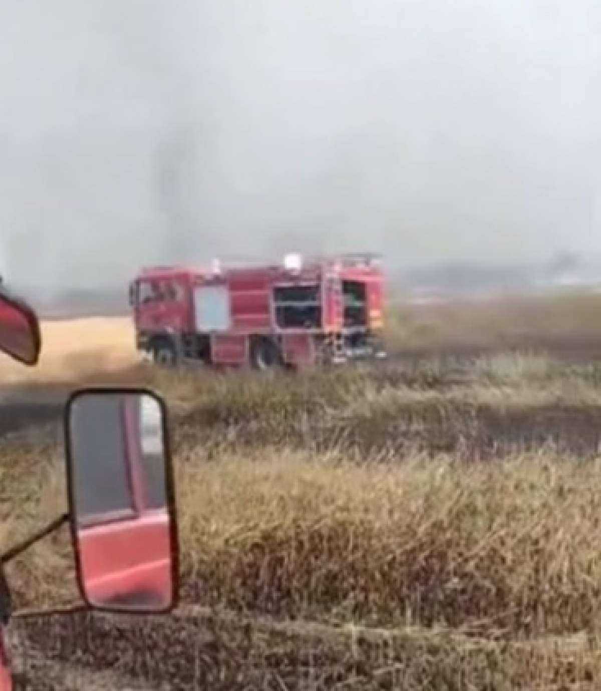 Incendiu violent în Arad! Au ars aproximativ 15 hectare de cultură de orz / FOTO