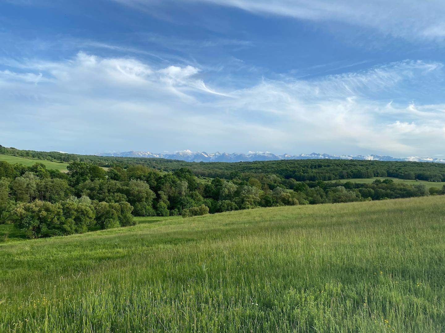 Satul din România unde casele s-au vândut cu 2000 de lei. Imaginile sunt de vis aici și ești foarte aproape de Sibiu / FOTO