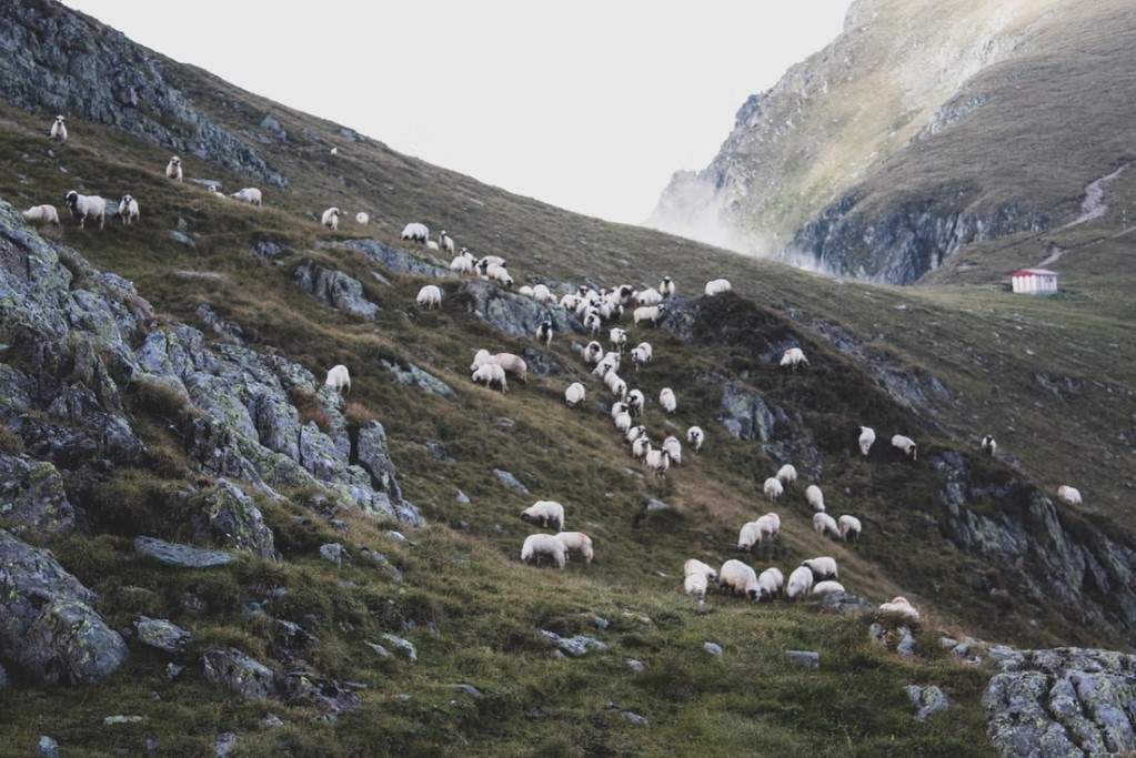 Locul din România perfect pentru cel mai bun selfie! Cinci destinații de vis, cu panorame spectaculoase. Ai știut de ele? / FOTO