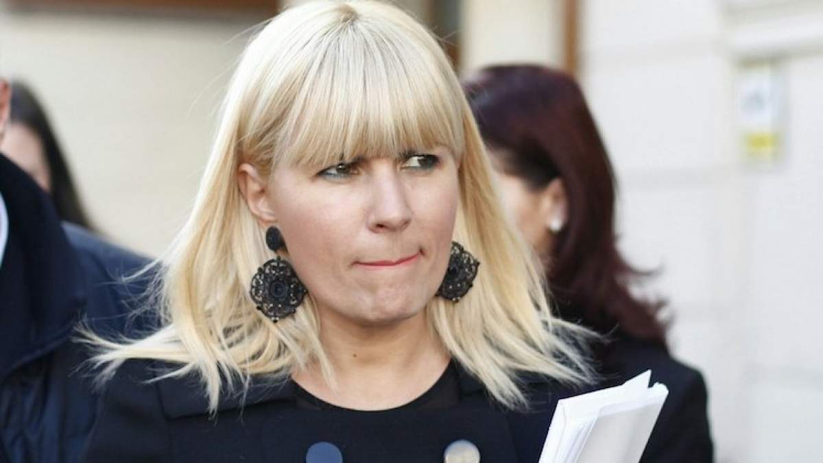 Cum plănuiește Elena Udrea să scape de închisoare. Avocat: „Mai avem de pus la punct...”