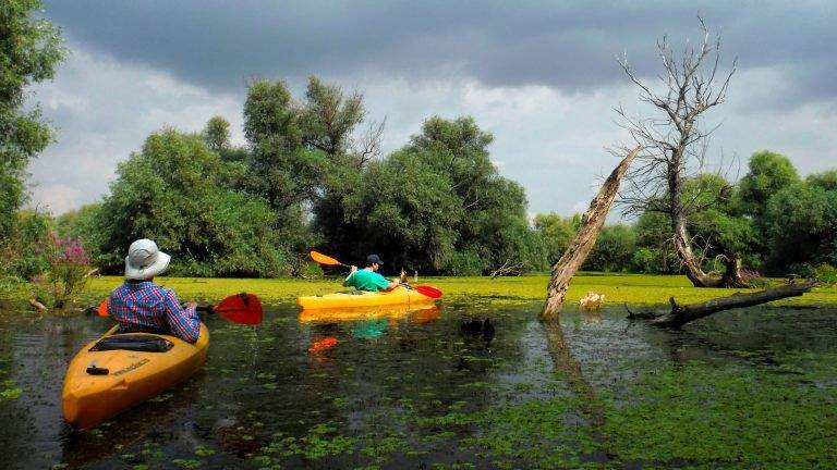 Care sunt locurile neștiute din Delta Dunării. Motivul pentru care turiștii vor să vadă zonele misterioase și sălbatice