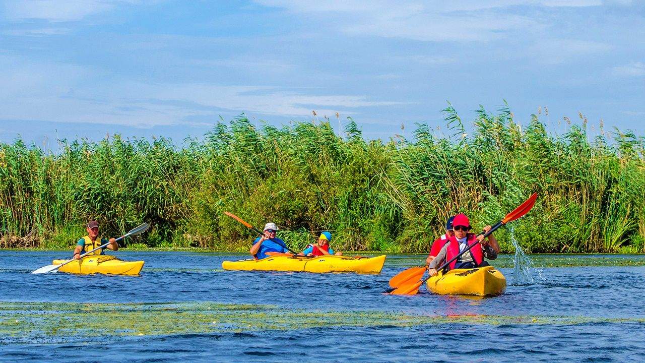 Care sunt locurile neștiute din Delta Dunării. Motivul pentru care turiștii vor să vadă zonele misterioase și sălbatice