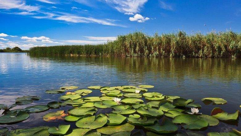 Care sunt locurile neștiute din Delta Dunării. Motivul pentru care turiștii vor să vadă zonele misterioase și sălbatice